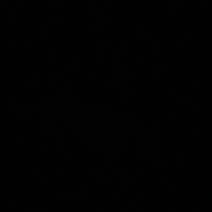 Meet your Posher, Isabela